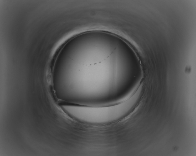 X0000096631510200802121036