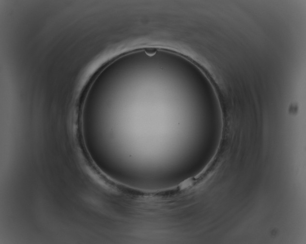 X0000096631511200802121036