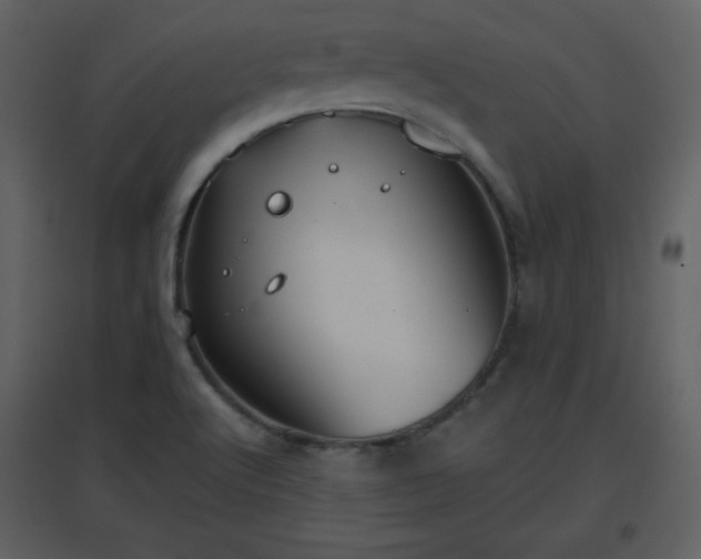X0000096631512200802121036