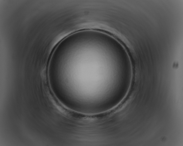 X0000096631513200802121036