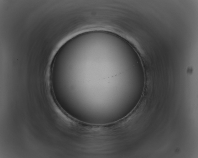 X0000096631516200802121036