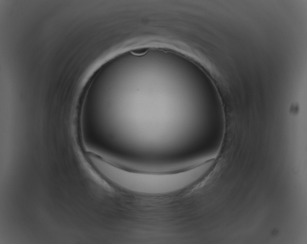 X0000096631518200802121036