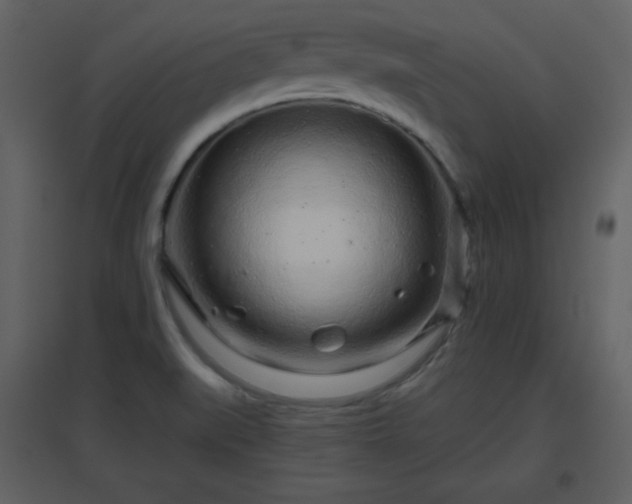 X0000096631519200802121036