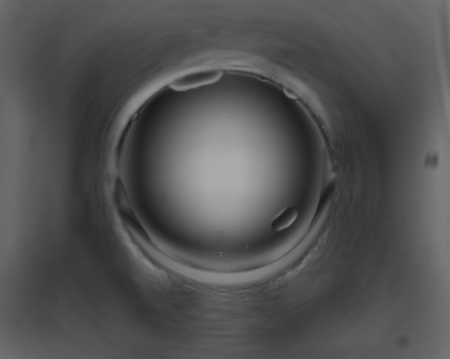 X0000096631520200802121036