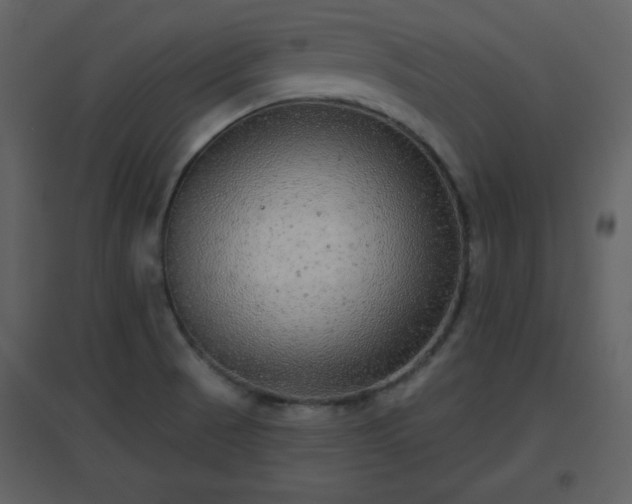 X0000096631521200802121036