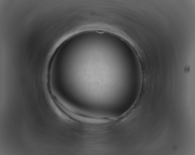X0000096631523200802121036