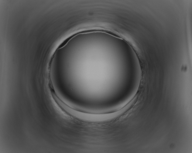 X0000096631524200802121036