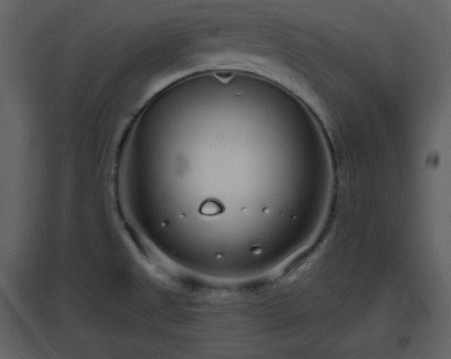 X0000096631525200802121036