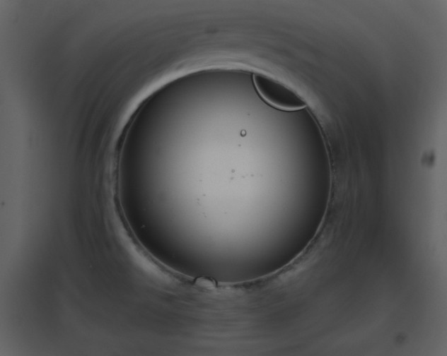 X0000096631526200802121036