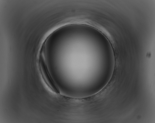 X0000096631528200802121036