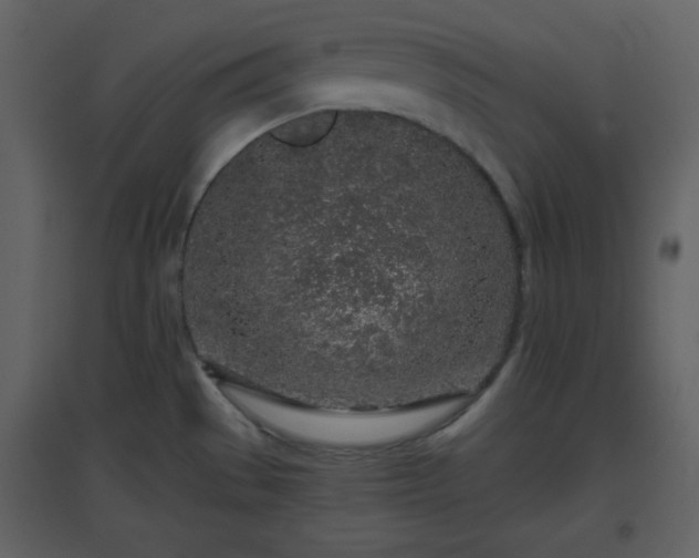 X0000096631529200802121036