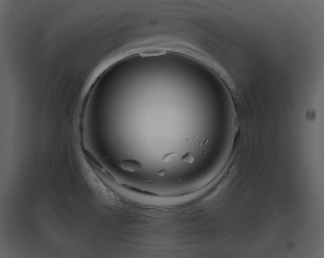 X0000096631530200802121036