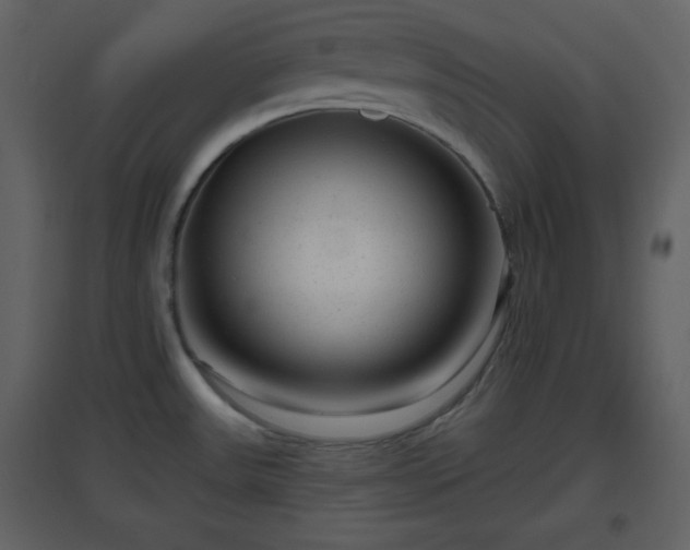 X0000096631531200802121036