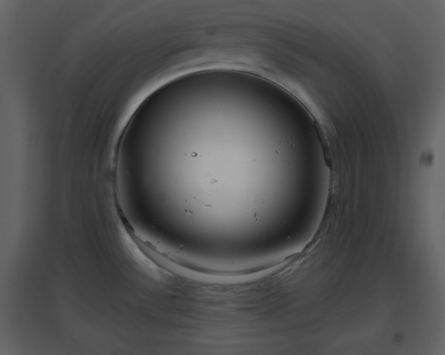 X0000096631532200802121036