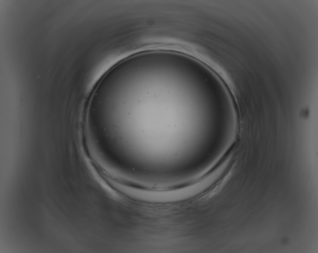 X0000096631533200802121036