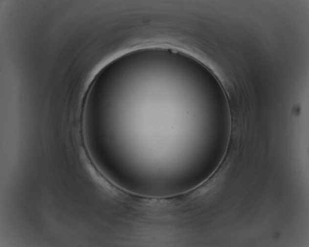 X0000096631534200802121036