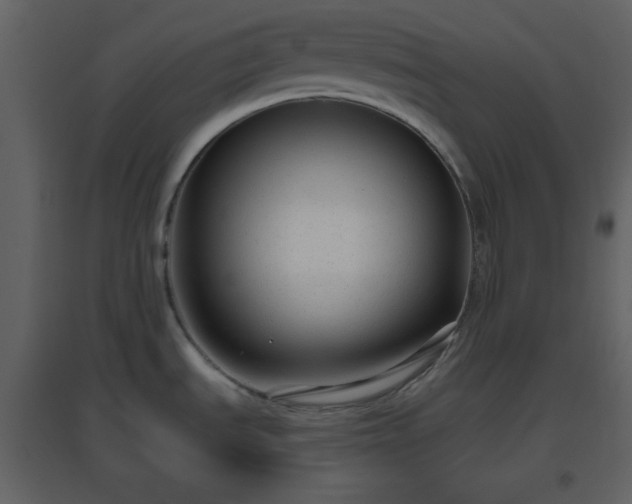 X0000096631535200802121036