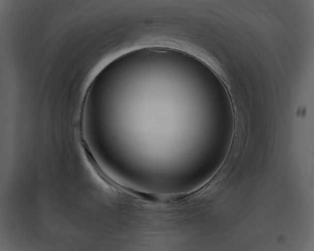 X0000096631536200802121036