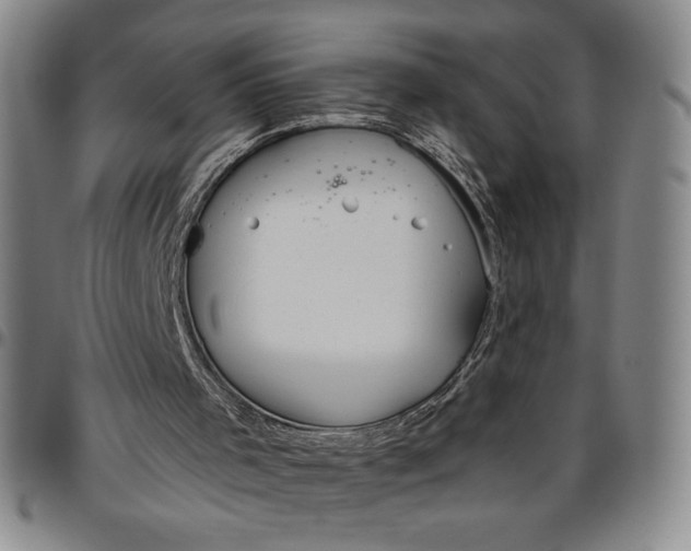 X0000096630001200802191207