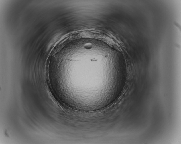 X0000096630002200802191207