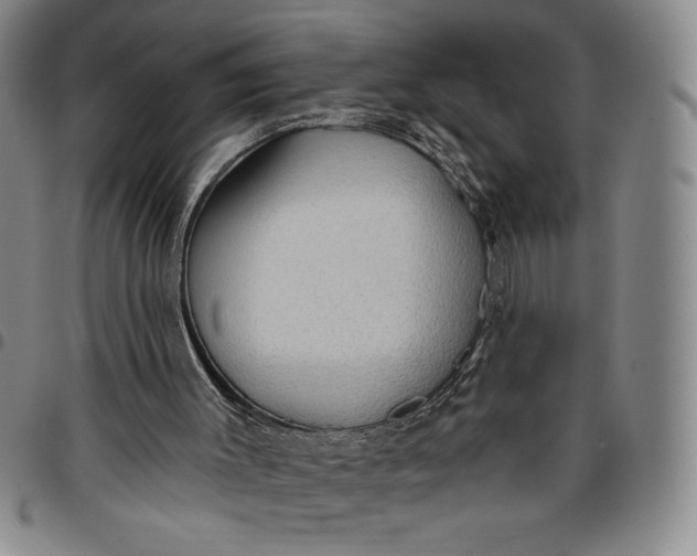 X0000096630003200802191207