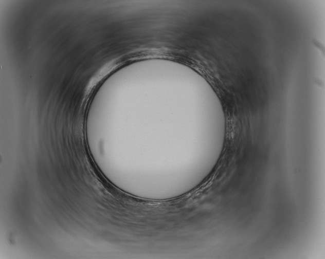 X0000096630004200802191207