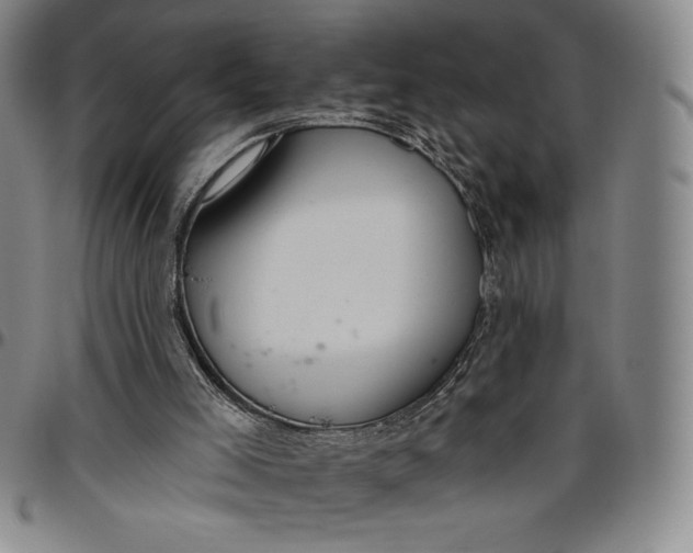X0000096630005200802191207