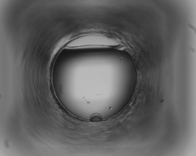 X0000096630006200802191207
