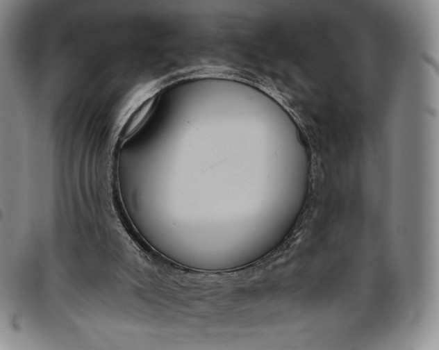 X0000096630007200802191207