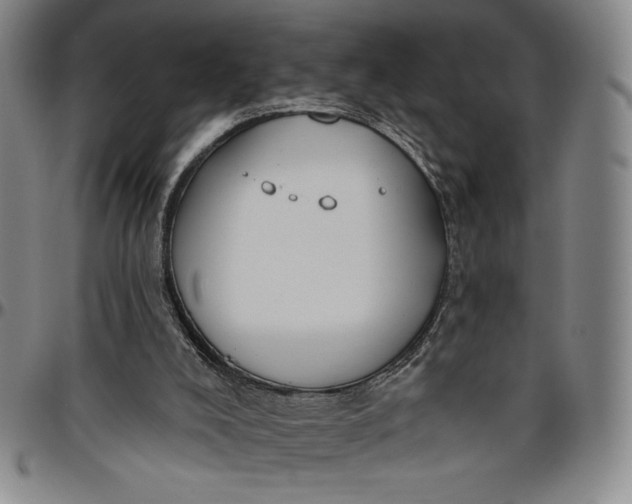 X0000096630008200802191207