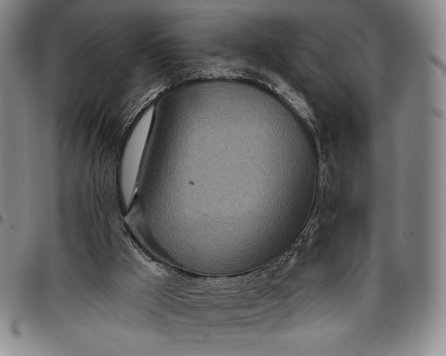 X0000096630009200802191207