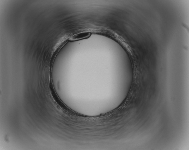 X0000096630011200802191207