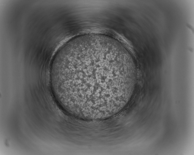 X0000096630012200802191207