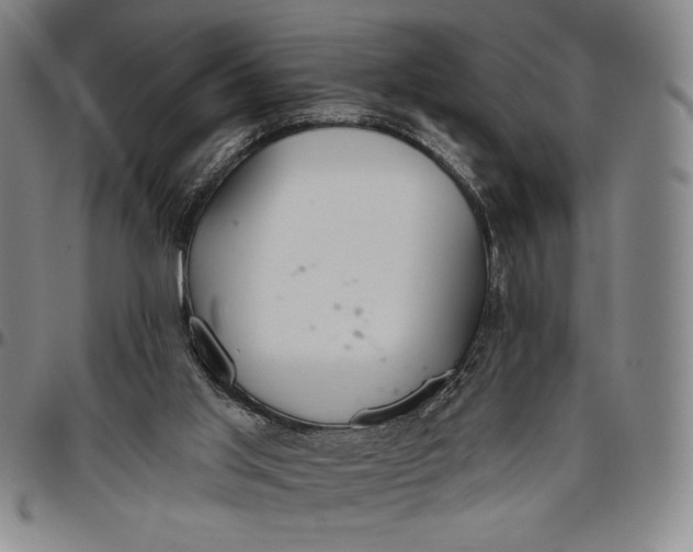 X0000096630013200802191207