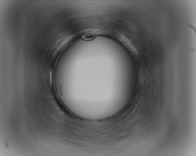 X0000096630014200802191207