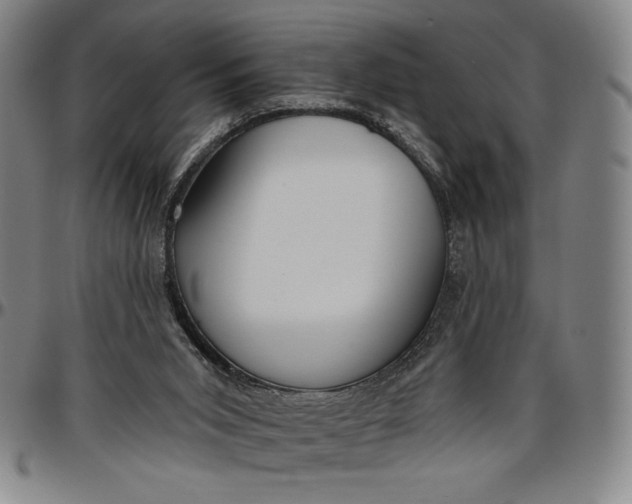 X0000096630015200802191207