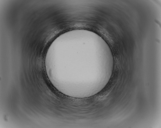 X0000096630016200802191207