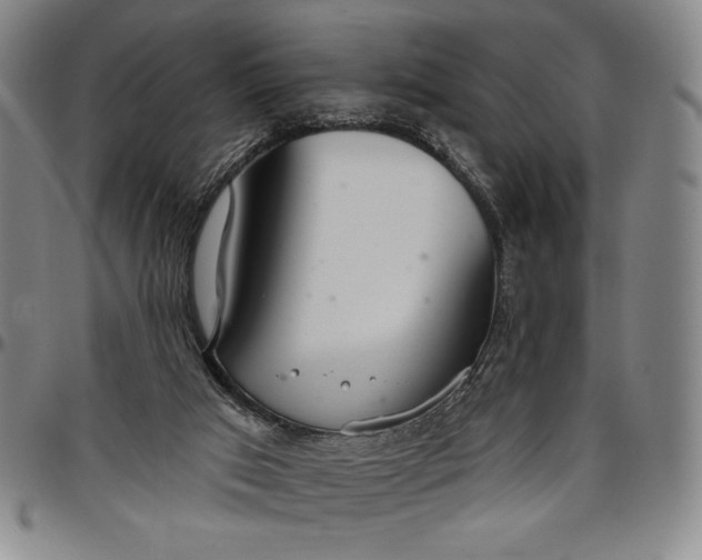X0000096630017200802191207