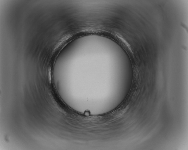 X0000096630020200802191207