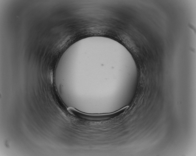 X0000096630021200802191207