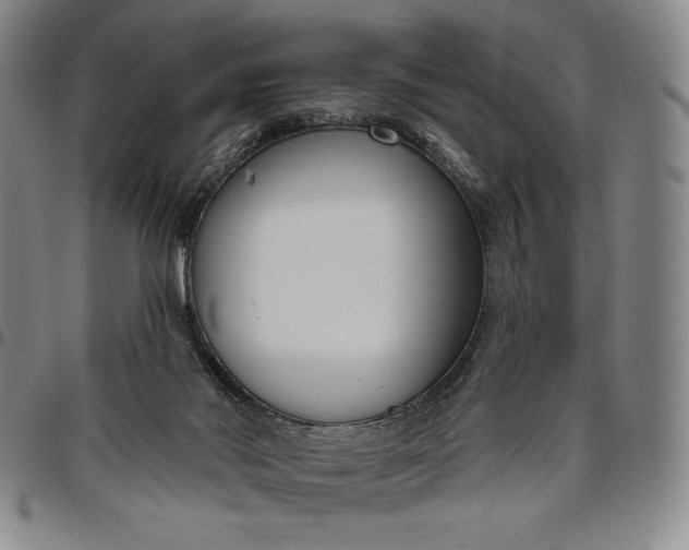 X0000096630022200802191207
