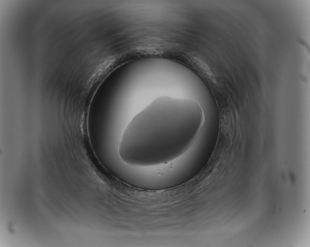 X0000096630023200802191207