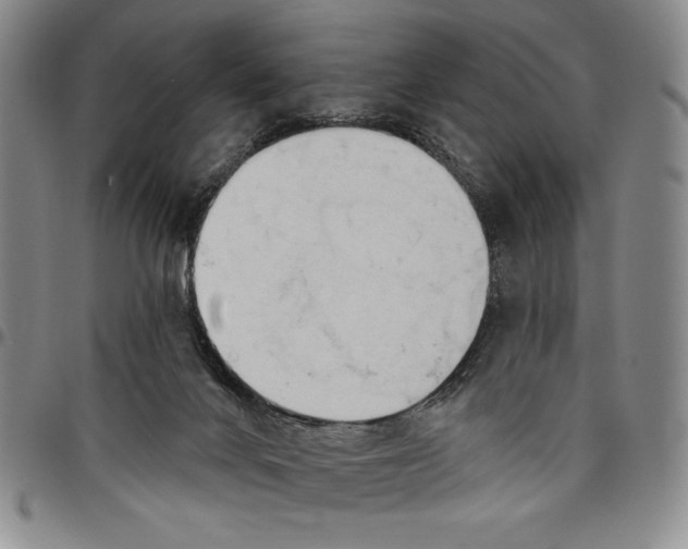 X0000096630024200802191207