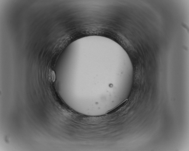 X0000096630025200802191207