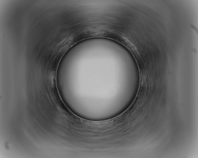 X0000096630026200802191207
