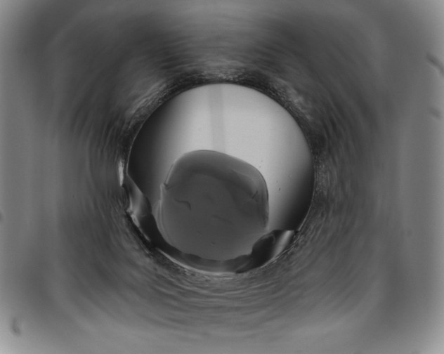 X0000096630027200802191207
