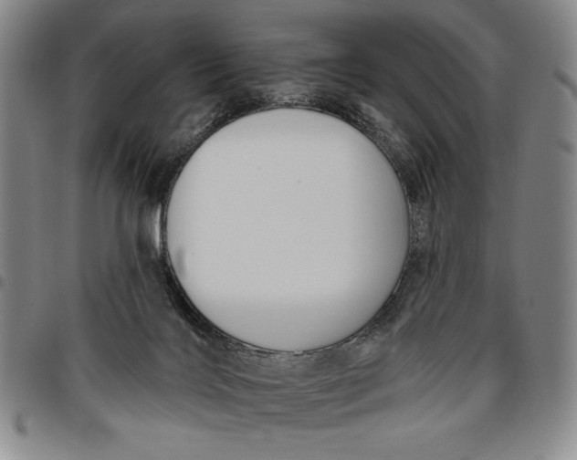 X0000096630028200802191207