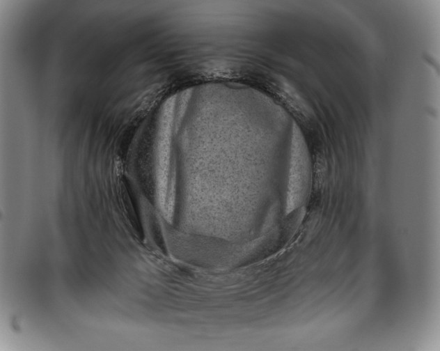 X0000096630029200802191207