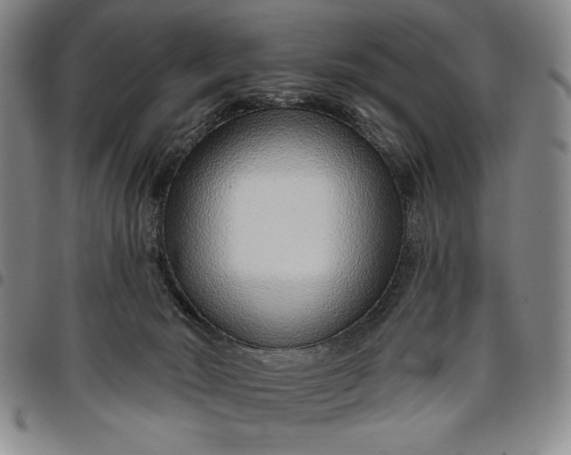 X0000096630030200802191207
