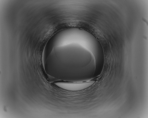 X0000096630031200802191207
